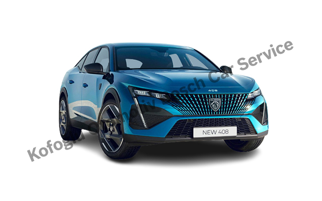 Trabzon Peugeot Servisi