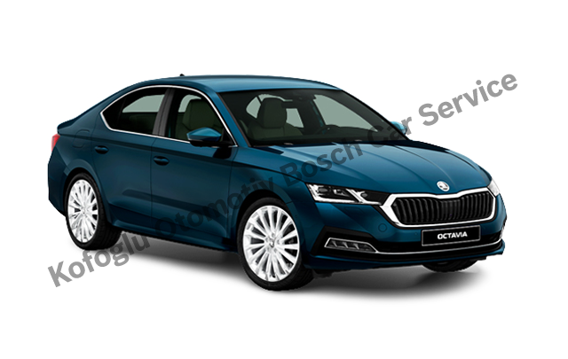 Trabzon Skoda Servisi